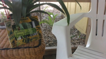 Landshark frame and chair