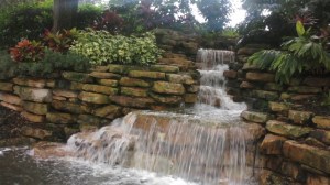 Swan dolphin waterfall