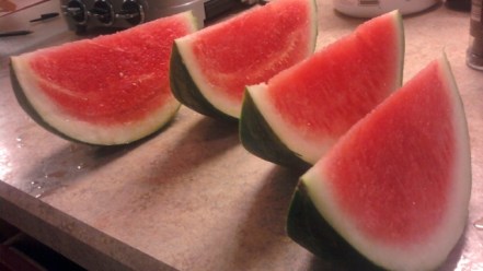 watermelon