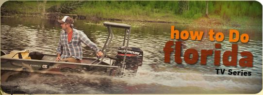 Source: howtodoflorida.com