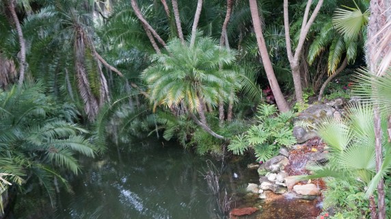 Canal once home to water boat tour in Cypress Gardens