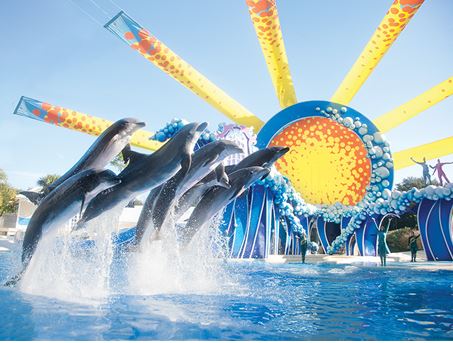 Photo courtesy of SeaWorld.com